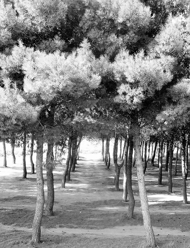 pathways | by flutential