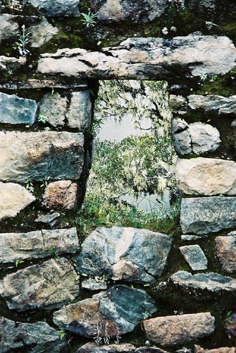 Tree framed in a portal of stone | by Simon Cast