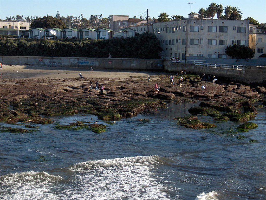 Ocean Beach Low Tide San Diego Photos Flickr