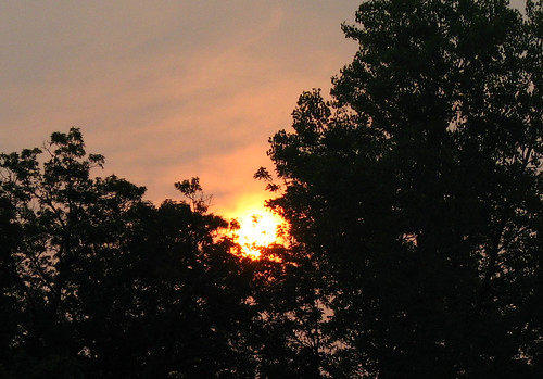morning trees sun sunrise silhouettes