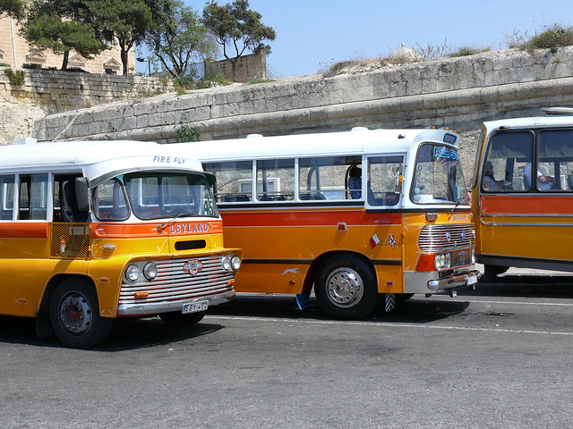 Busses