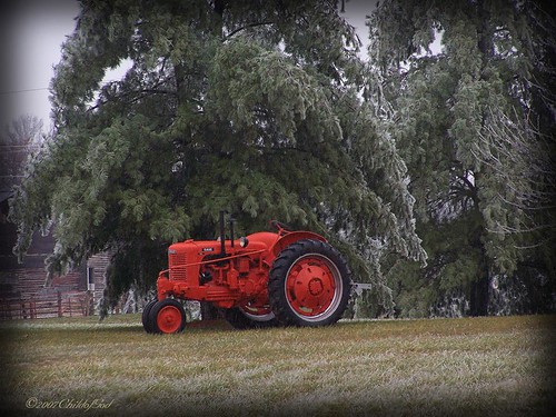 The Tractor by Beckie Fitzgerald