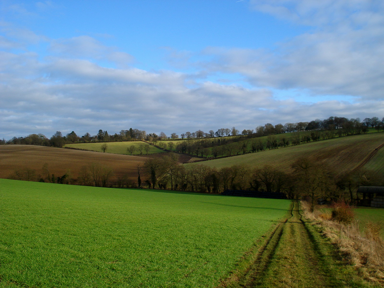 Walking the Chiltern Hills by Pishill, Oxfordshire