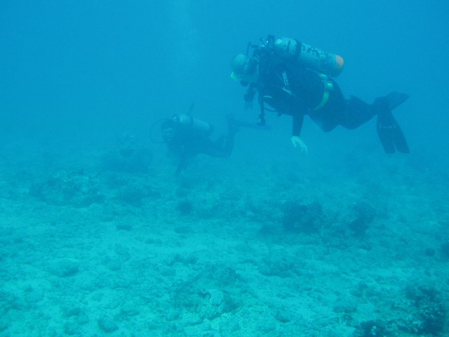scuba diving honolulu padi rainbowscuba -31