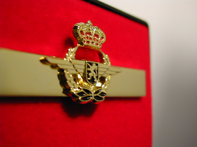 Belgian Air Force Tie pin Crown Wings Wreath - Gold Black Red -1A