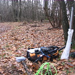 Picture of the hike