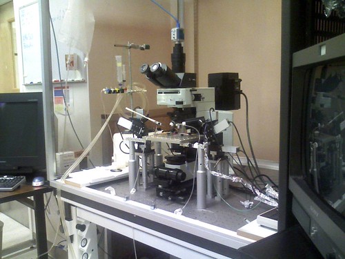 Patch clamp | by superflashgo