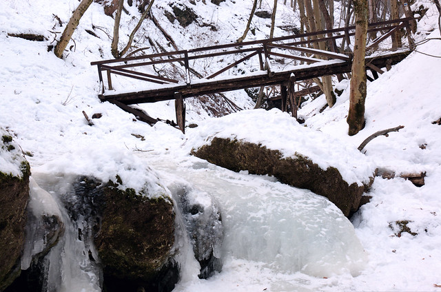 The frozen creek with a bridge