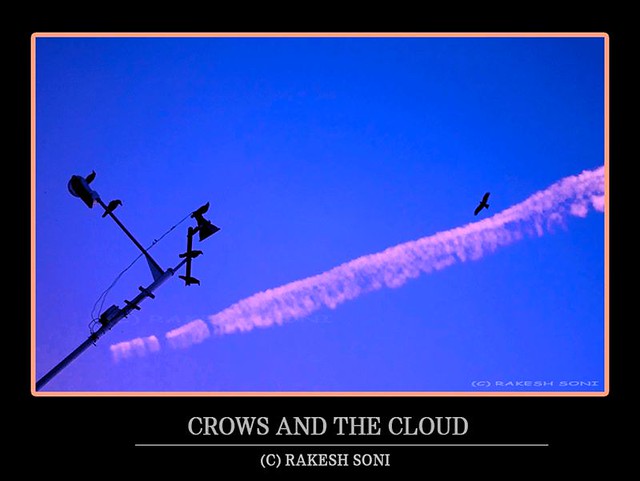 Crows and the cloud