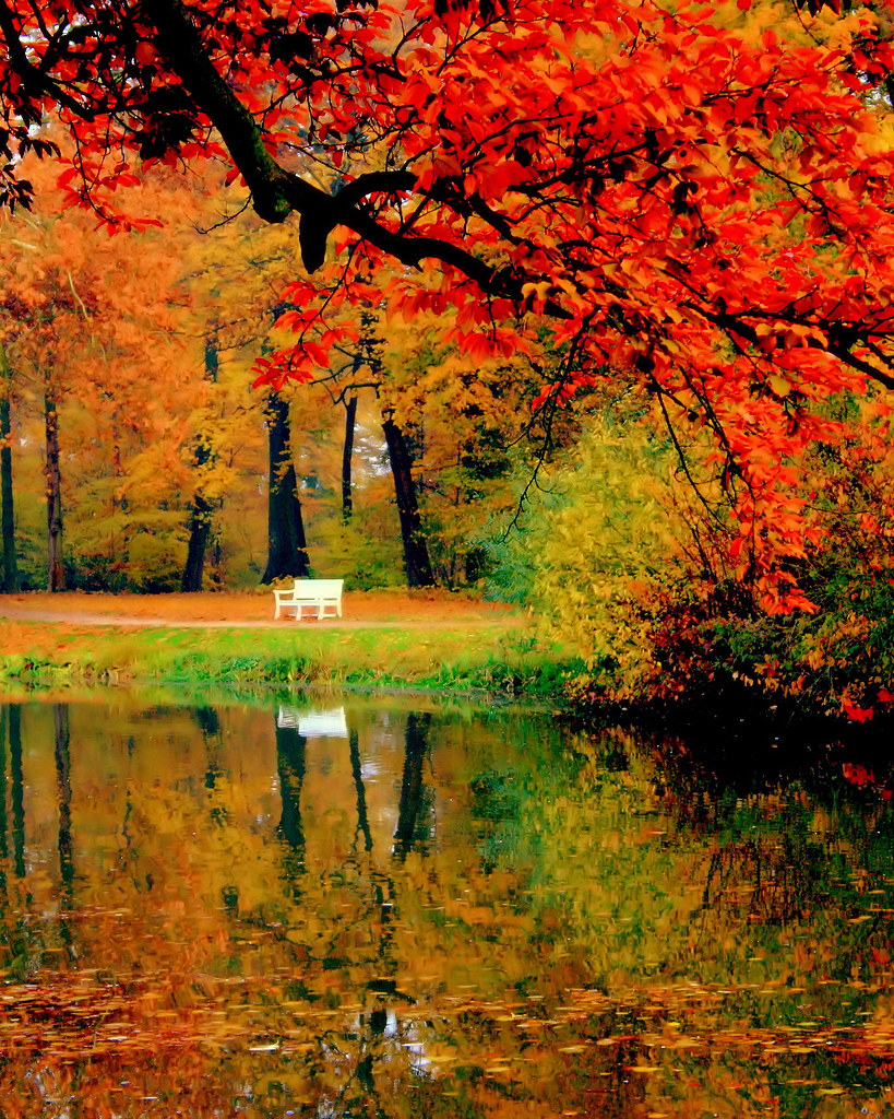 Autumn is beautiful. Осень парк. Сентябрь красиво. Из под осени. Доброго осеннего дня 2022.