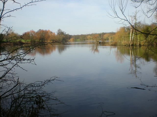 The Lake in Maidstone Mere Park