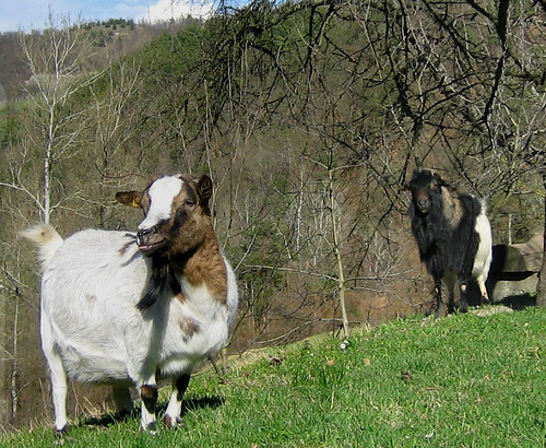 Sunbath...and waiting... by Xena*best friend*