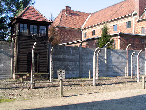 Walls of Auschwitz