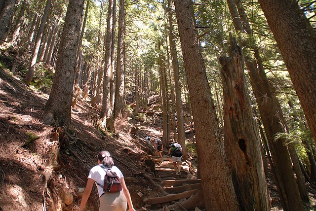 The Grouse Grind, part three