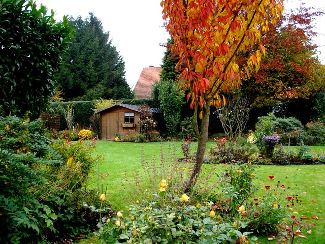 November Multicoloured Garden Images!! (1)