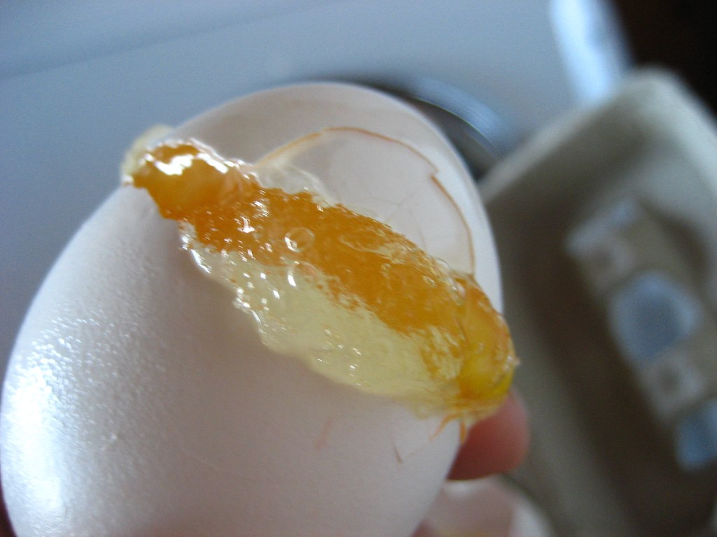 Frozen egg