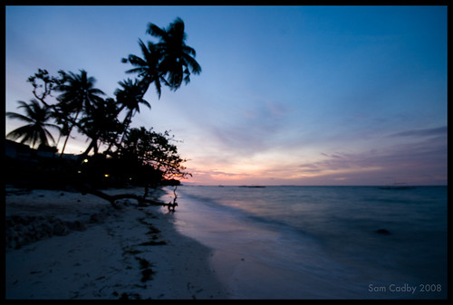 seascape sunrise palms landscape coast soft philippines palmtrees bohol silloutte philippines2008