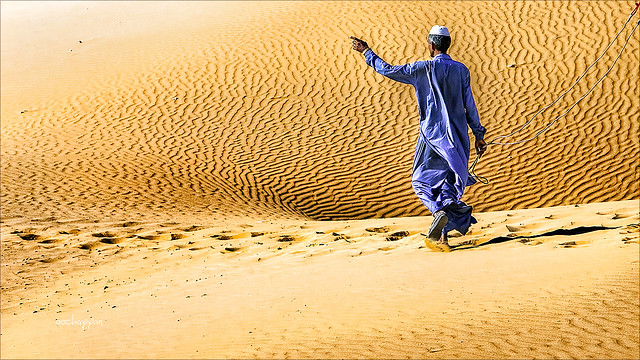 Captain of the Desert • Jaisalmer