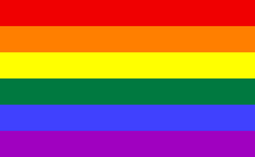 Digital image 11 x17 gay flag