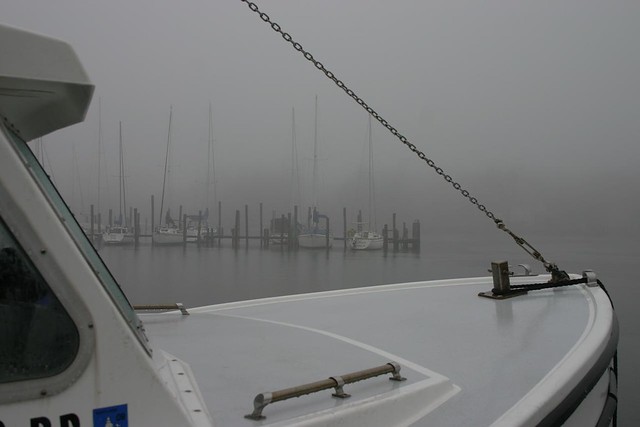 Misty Morning on Parrish Creek