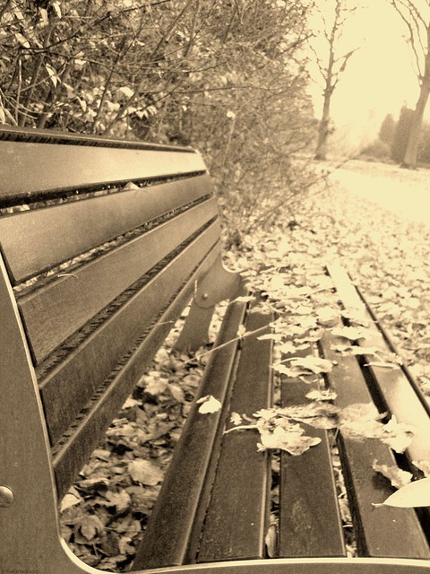 OnThe Bench