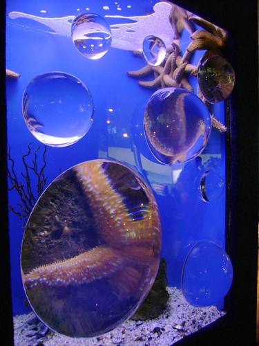 Two Oceans Aquarium