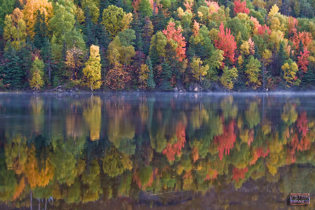 Humber River Autumn