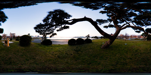 sunset panorama pinetree pine handheld 360x180 matsue lakeshinji equirectangular panotool