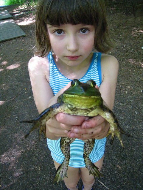 Biggest frog yet, Fiona has decided that our trip to MA to …