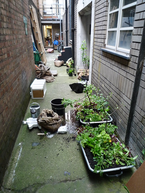 mobile garden