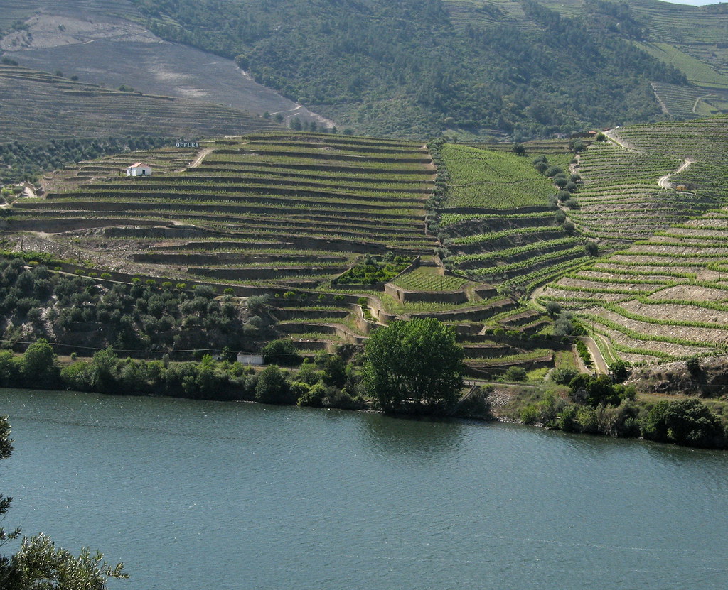 Offley Port, Douro Valley, Portugal
