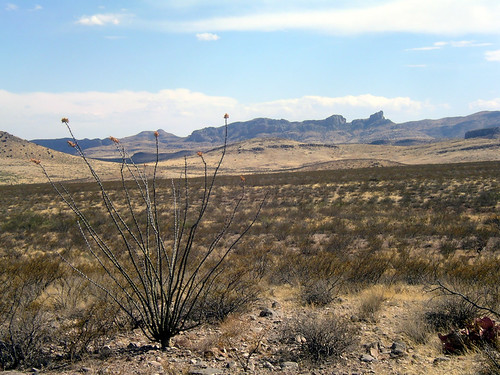 Vast Desert | by NowhereMan & WalkingCarrot