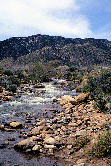 Anza Borrego Desert Creek