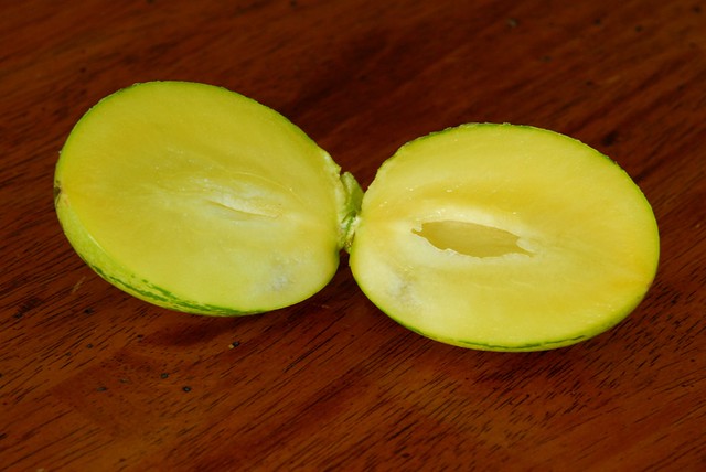 Pepino Melon (Solanum muricatum)