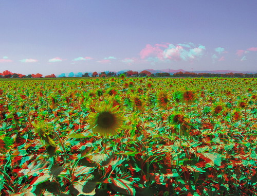 canon landscape geotagged 3d colorado country boulder stereo co farms hyper mapped twincam twinned redcyan hyperstereo analgyph sx110is