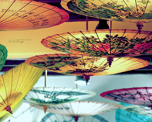 paper umbrellas | by ShanLuPhoto