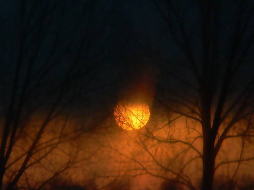 Frosty Sunrise | by EyeOfTheJen
