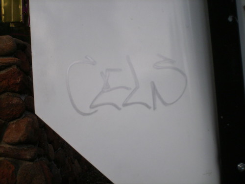 cels | by 3vidence