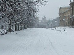 Hofgarten im Schnee