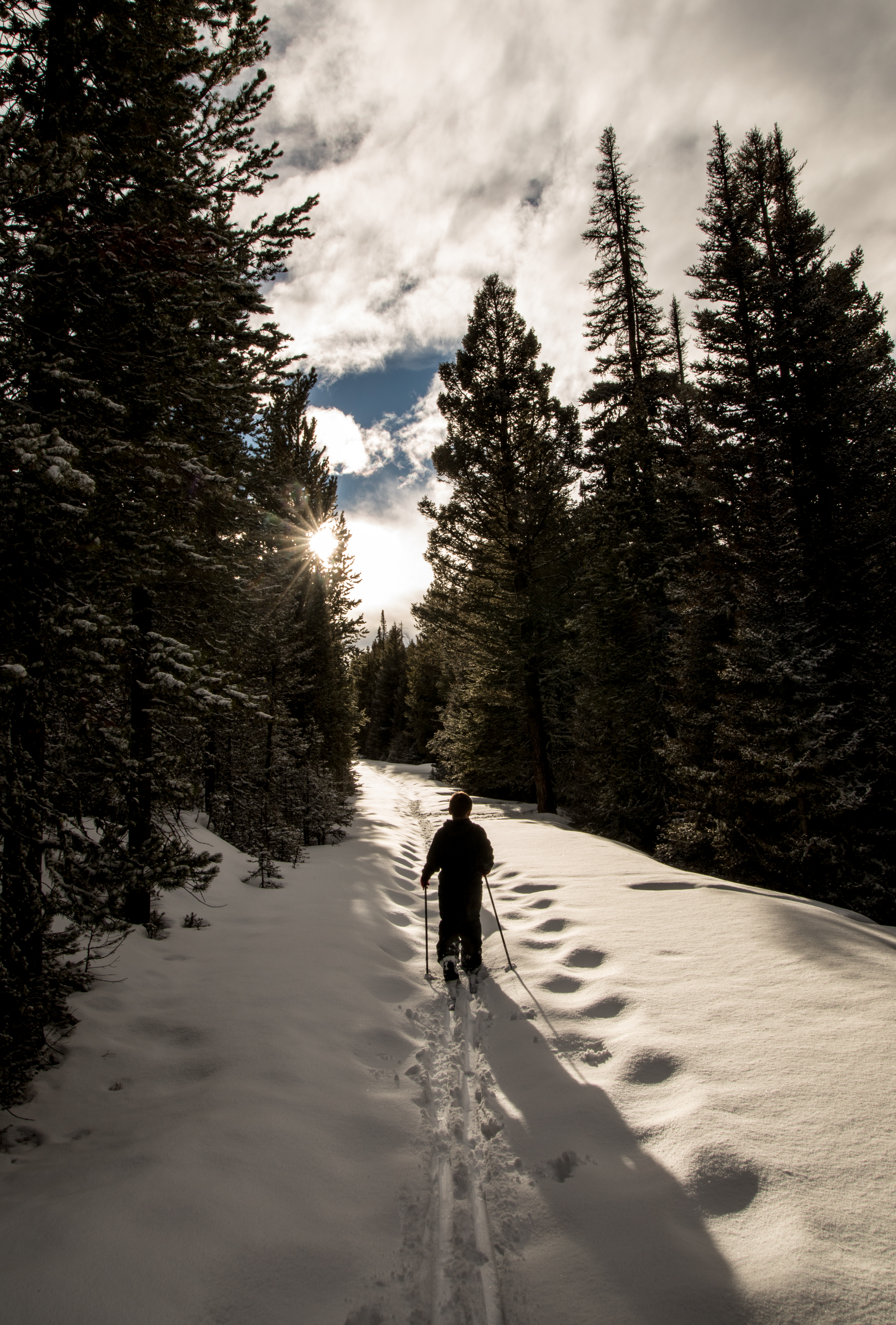 Crazy Mountain Skiing