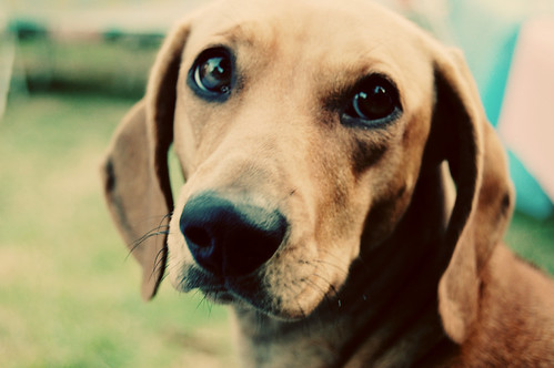 Look into my eyes. by gracie.joy