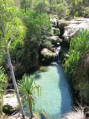 Natural swimming pool, Isalo national park, Madagascar | Flickr