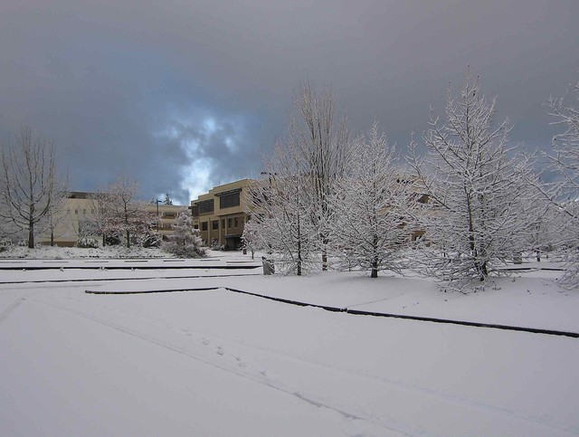 Edmonds Community College, Blue Sky and snow