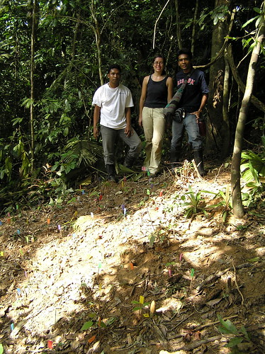 Tue, 11/08/2005 - 10:21 - Jennifer Baltzer (center) experimental study of Pasoh tree species.
Credit: CTFS