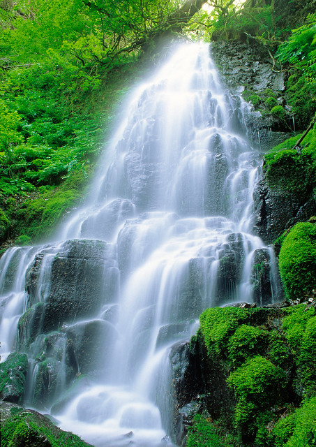 Fairy Falls - waterfall in Columbia River Gorge, Oregon