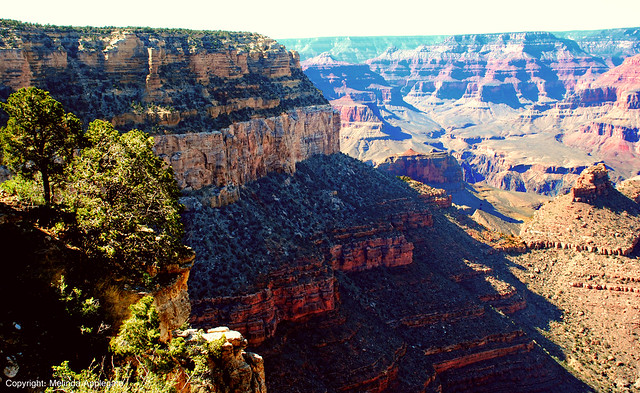 Rock Formations and Scenic View of the South Rim of the Grand Canyon in Arizona