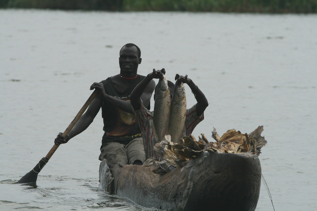 Fishing in Sudd wetland. Photo by Water, food and livelihoods in River Basins; (CC BY 2.0)