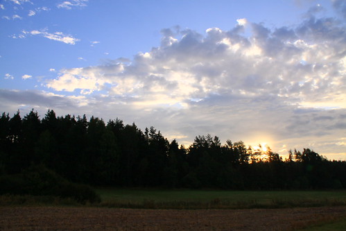 Sunrise by Gerlinde Hofmann (Linda), germany thuringia thüringen village schackendorf sunrise sun silhouette tree spruce sky cloud sonne