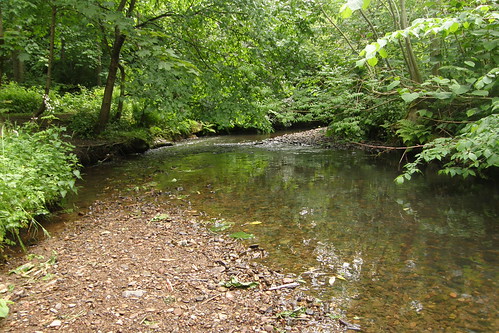 River on the Bush Estate