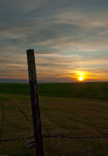 sunset summer sun field fence john ceramic landscape wire post dusk farming grain agriculture barbed insulator demke